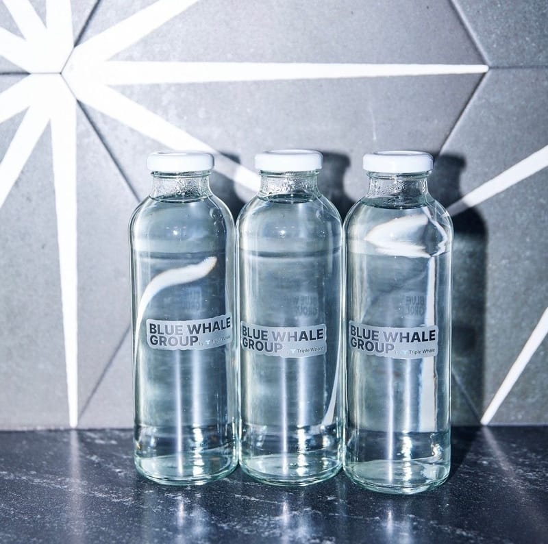 Three glass water bottles labeled Blue Whale Group against a black and white geometric wall