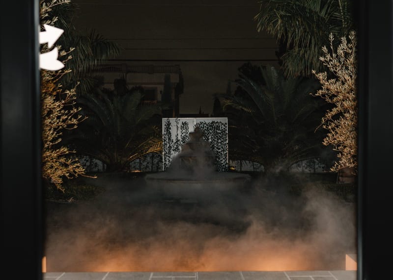 Doorway view of a courtyard filled with low fog, palms and dried grasses