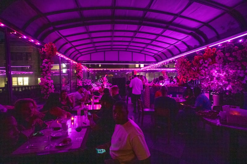 Rooftop terrace bathed in purple light with guests seated at tables among rose-covered columns