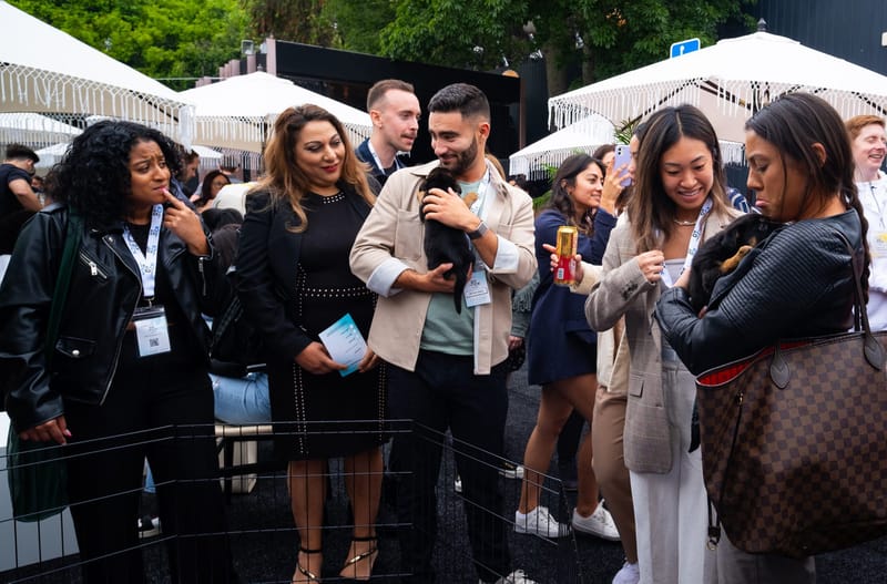 Attendees in DTCx lanyards holding puppies beside a small pen under white fringed umbrellas