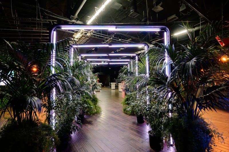 Walkway through a tunnel of lit rectangular frames lined with potted palms