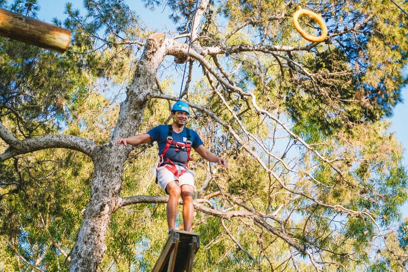 A guest in a helmet and harness standing on top of a tall wooden pole among pine branches