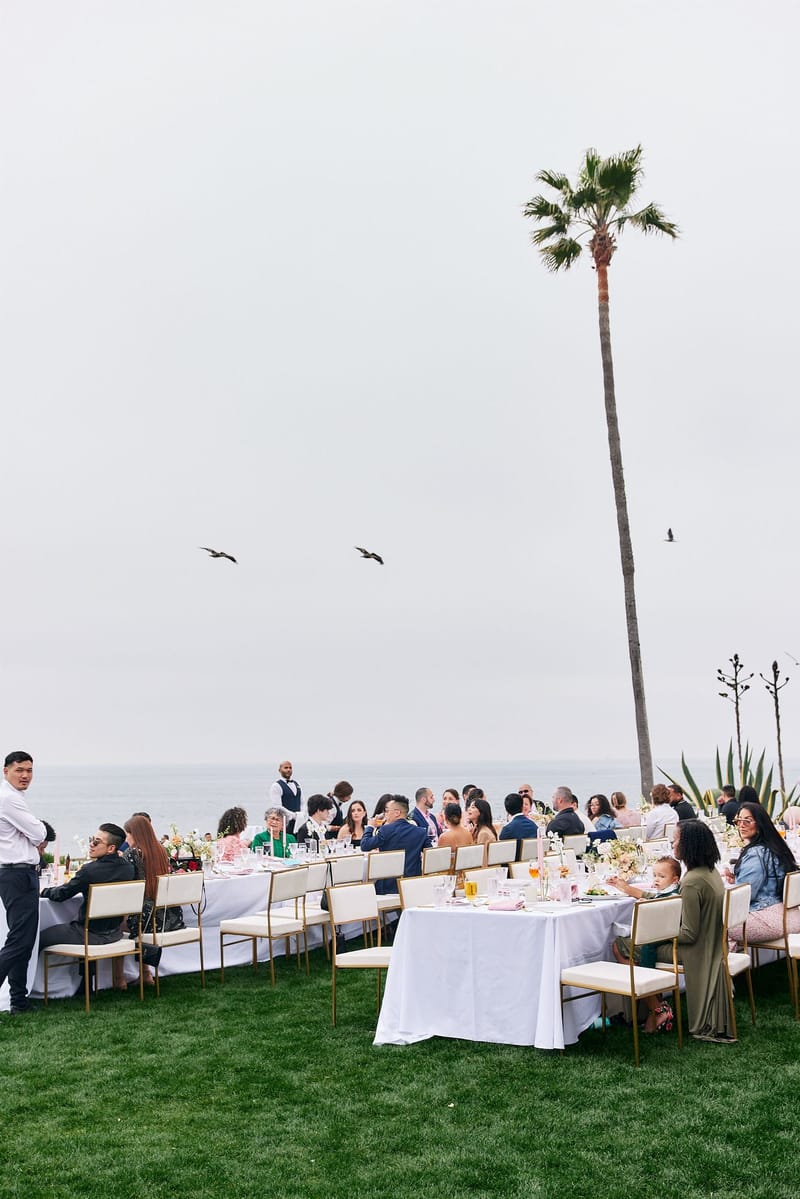 Guests seated at long white tables on a lawn above the ocean, a tall palm and birds overhead