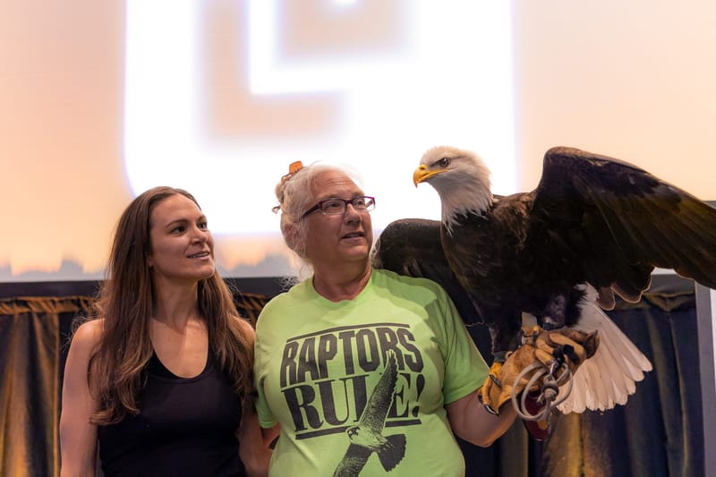 A handler raising a bald eagle with spread wings beside a guest in front of a screen