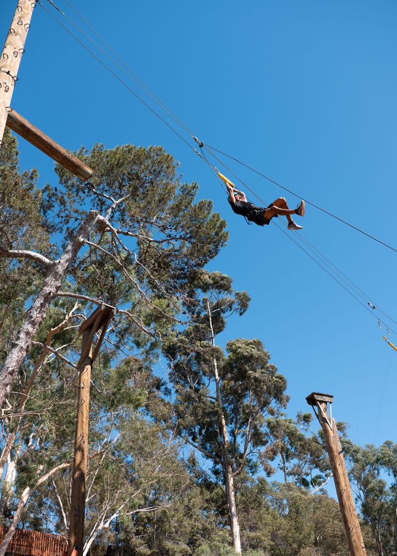 A guest riding a zip line high above tall trees against a blue sky