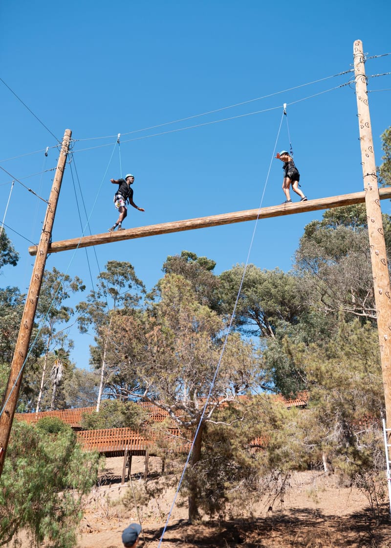 Two guests walking a beam between tall wooden poles against a blue sky