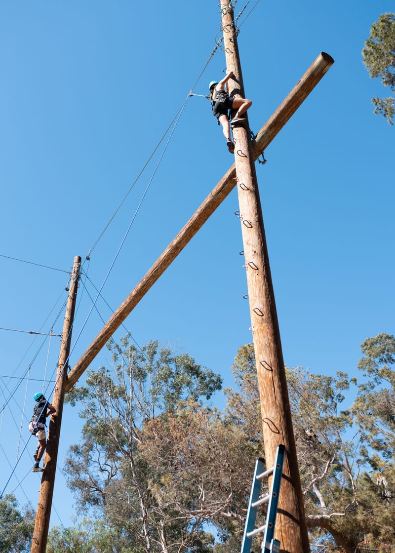 Guests climbing tall wooden poles on a ropes course against a blue sky