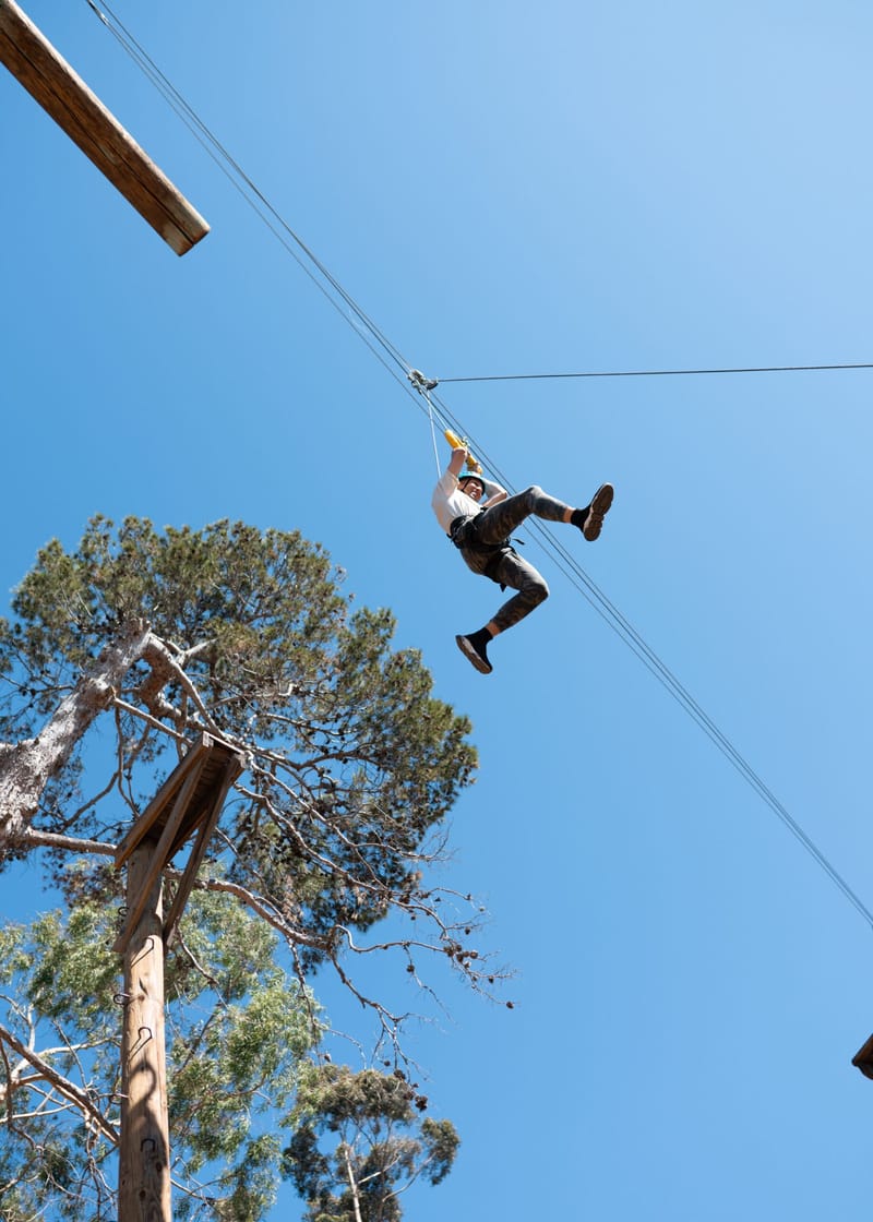 A guest zip lining past a tall tree under a clear blue sky