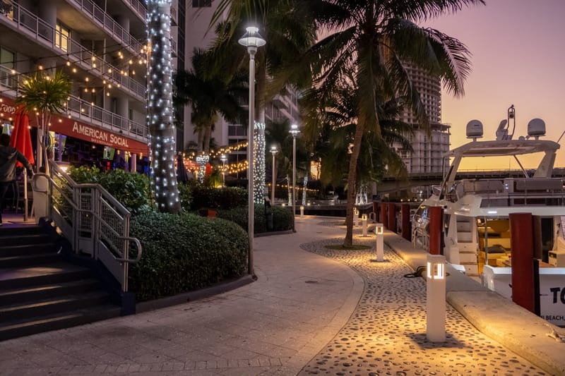 American Social Bar & Restaurant at dusk, with string lights and palm trunks wrapped in white lights