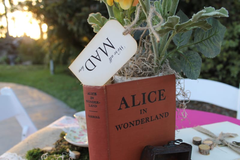 Red Alice in Wonderland book with a tag reading We're all MAD here beneath a potted plant