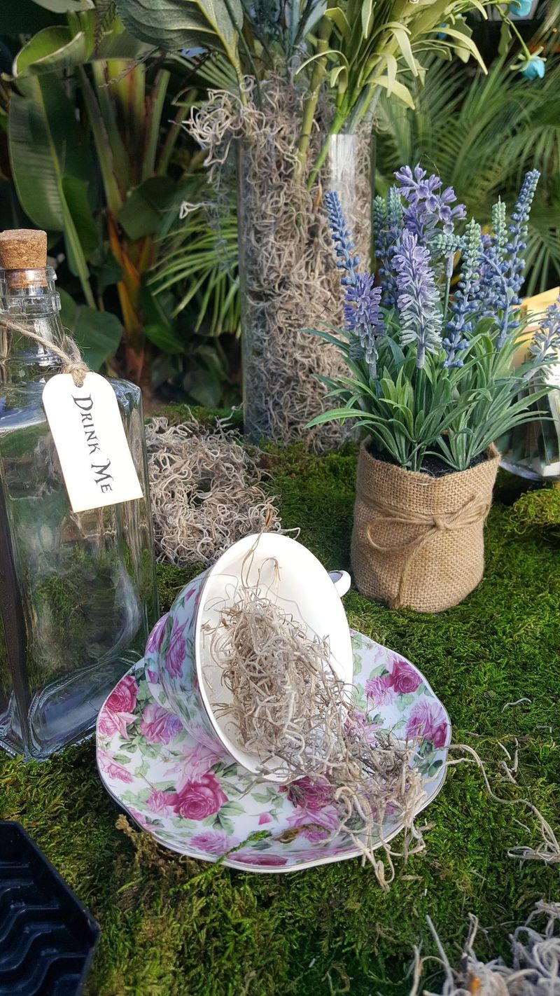 Drink Me bottle and a tipped floral teacup filled with moss beside potted lavender