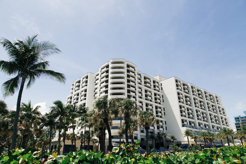 White high-rise hotel behind palm trees and flowering shrubs under a blue sky