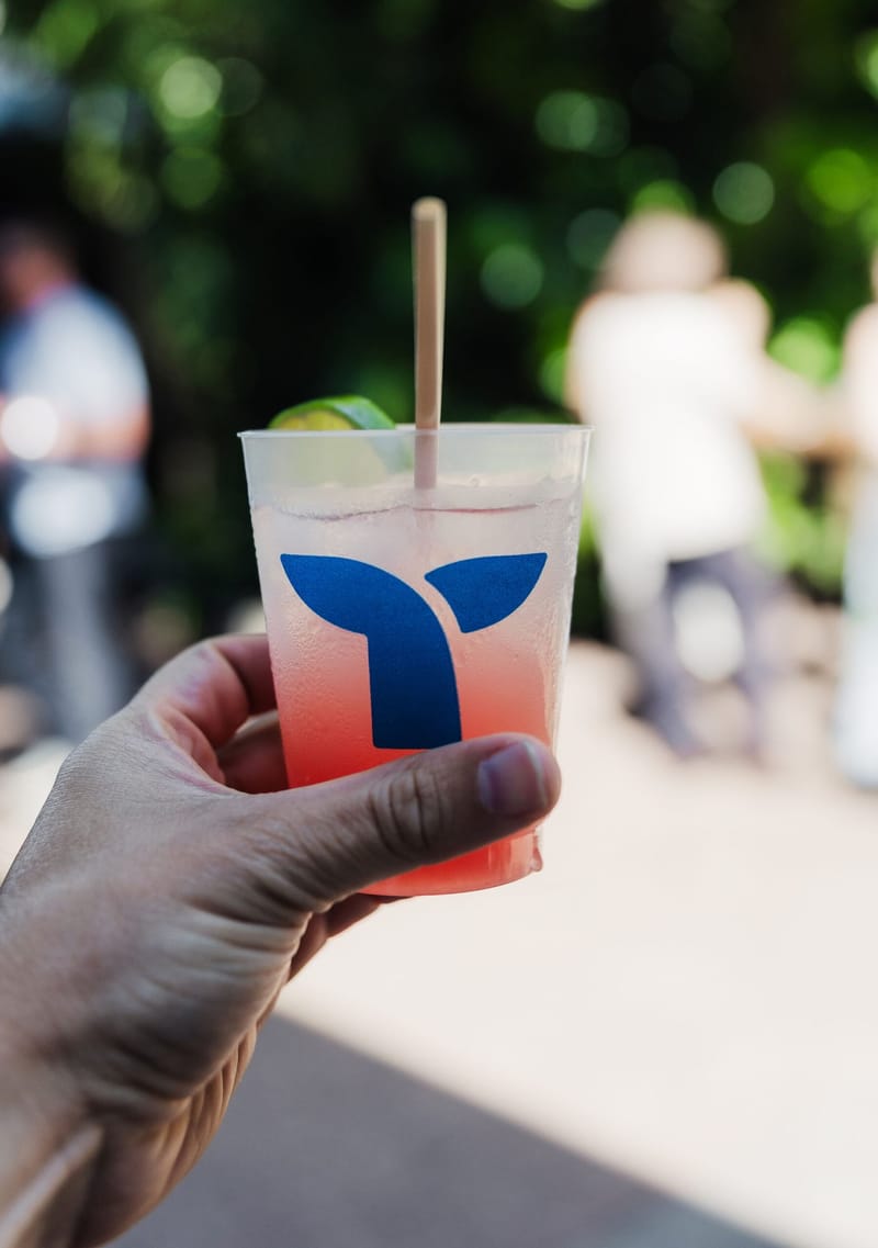 Hand holding a pink drink in a cup printed with the Triple Whale logo
