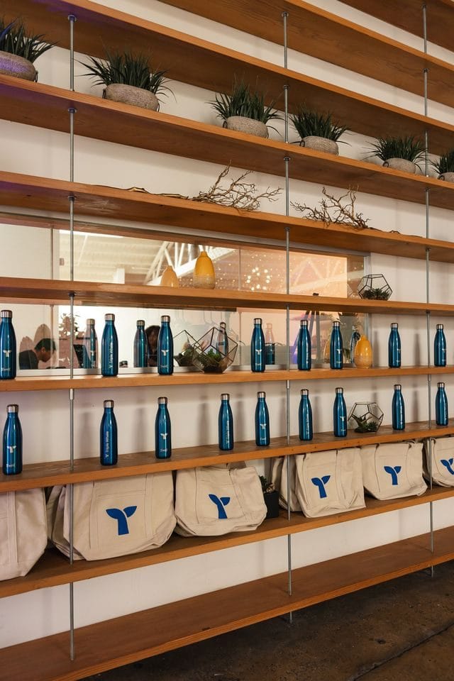 Wood shelving holding blue bottles, small plants and canvas totes with the Triple Whale logo