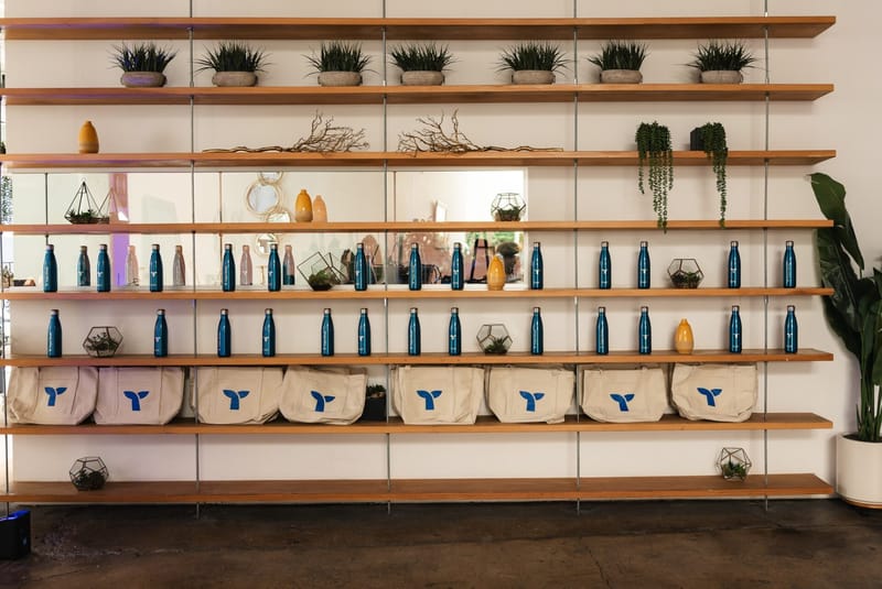 Full wall of wood shelves lined with blue bottles, potted plants and Triple Whale totes along the bottom
