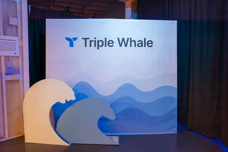 Triple Whale backdrop printed with blue waves, with two freestanding wave cutouts in front